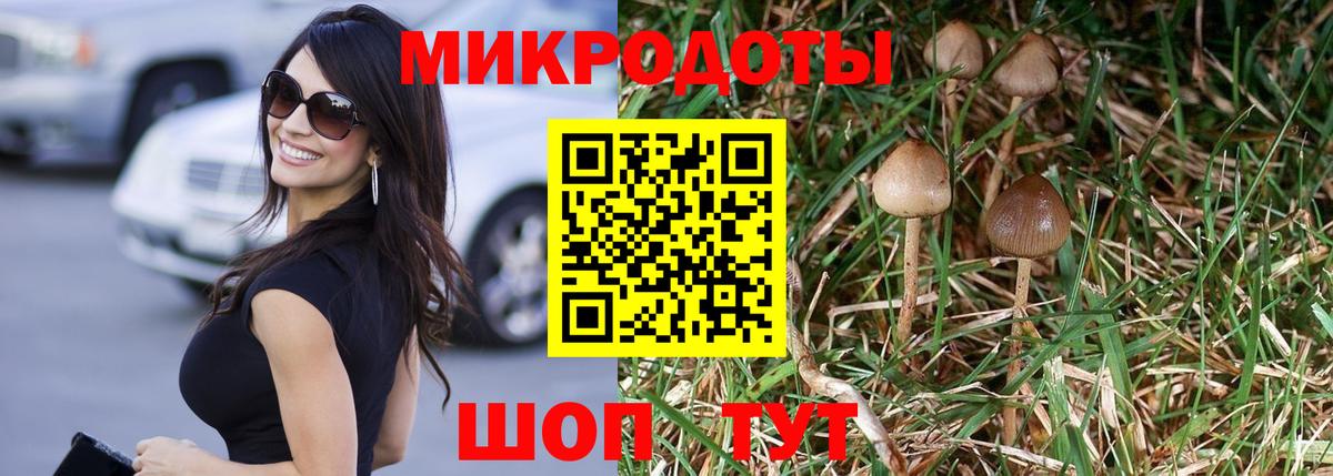Галлюциногенные грибы MAGIC MUSHROOMS  Псилоцибиновые грибы Psilocybe  Вход с VPN  Владивосток 